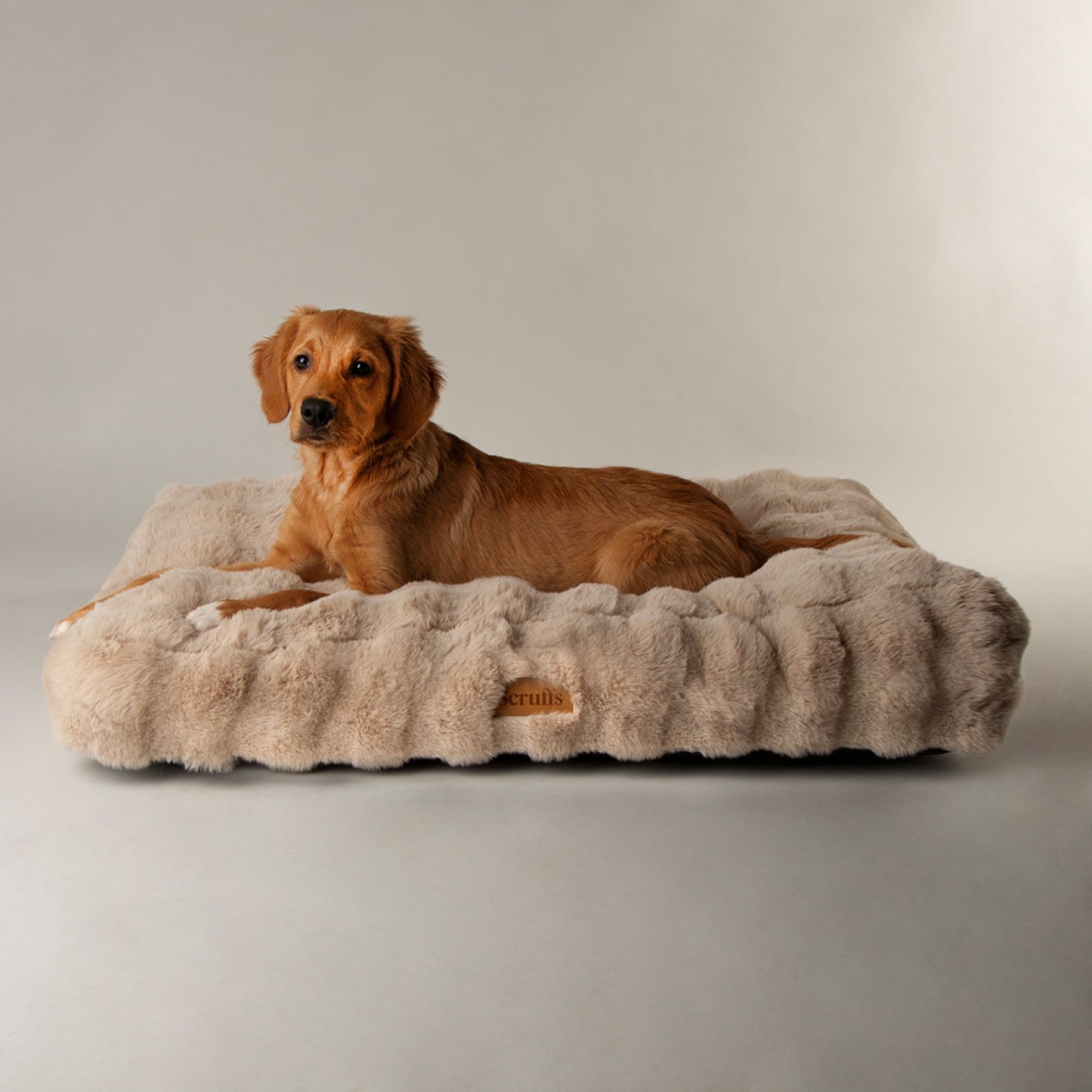 Scruffs Alpine Champagne Dog Mattress
