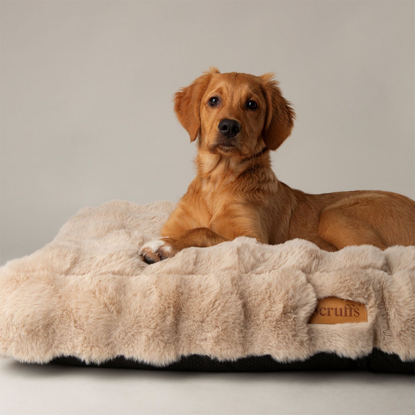 Scruffs Alpine Champagne Dog Mattress