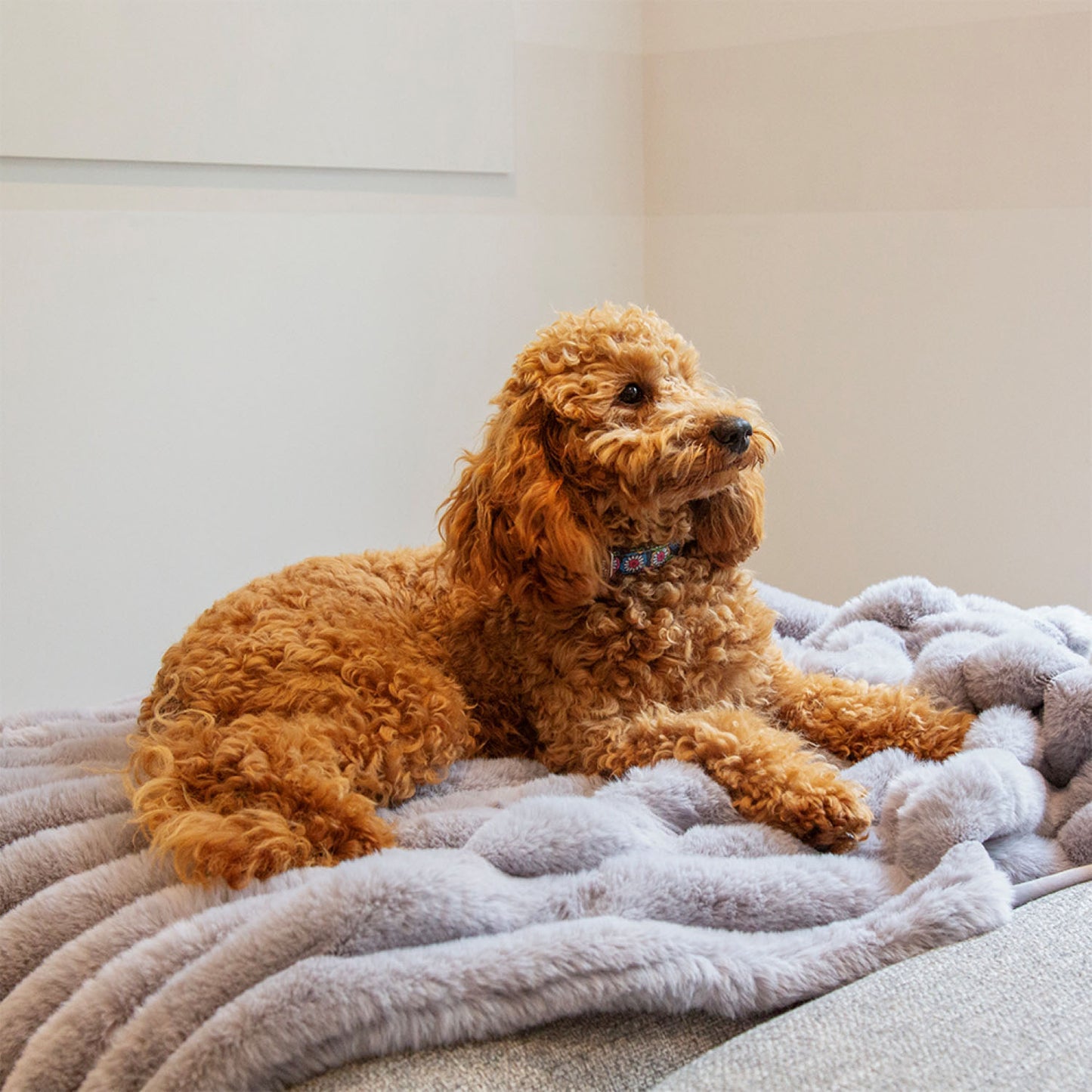 Scruffs Aspen Grey Faux Fur Pet Blanket