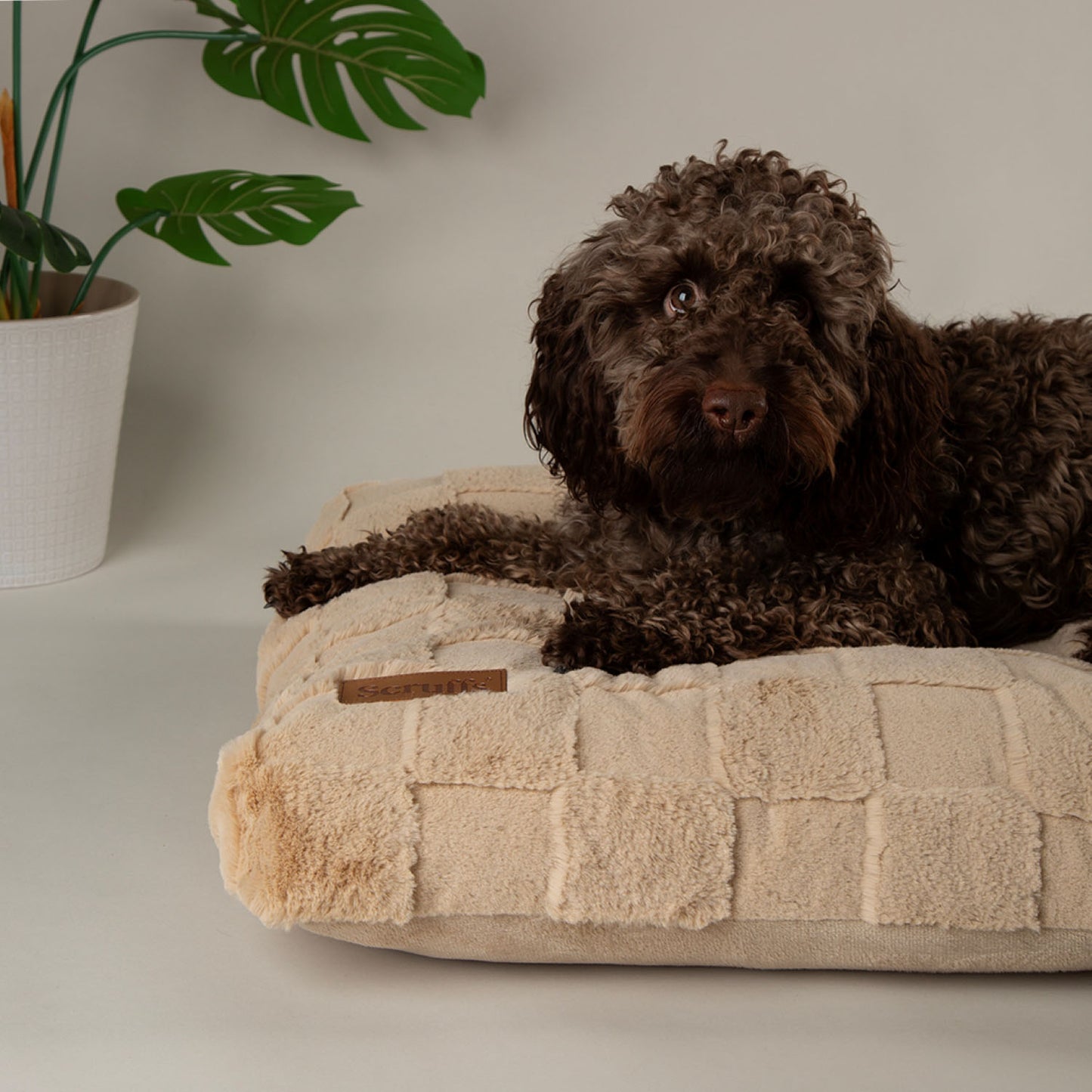 Scruffs Oxford Tan Orthopaedic Pet Mattress