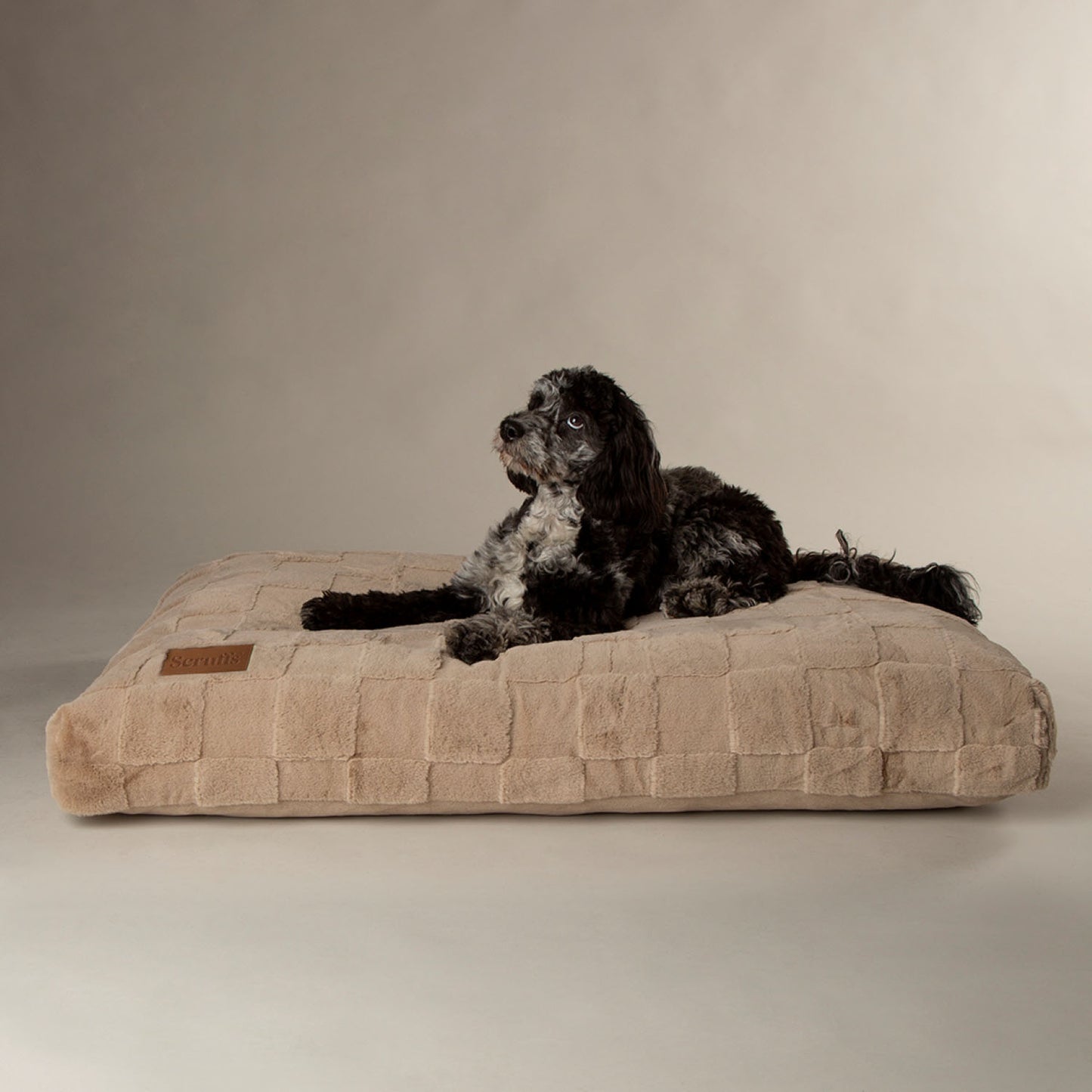Scruffs Oxford Camel Orthopaedic Pet Mattress