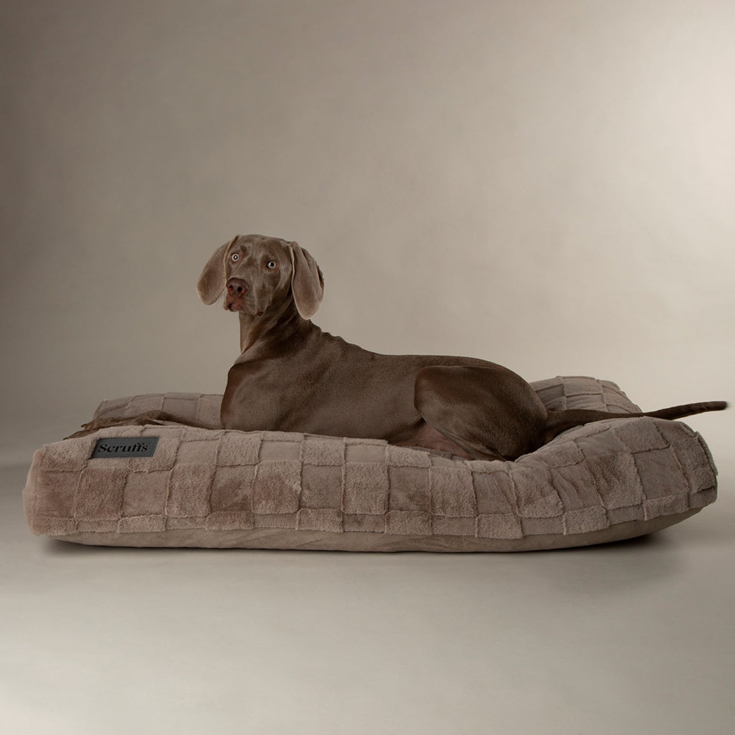 Scruffs Oxford Silver Orthopaedic Pet Mattress