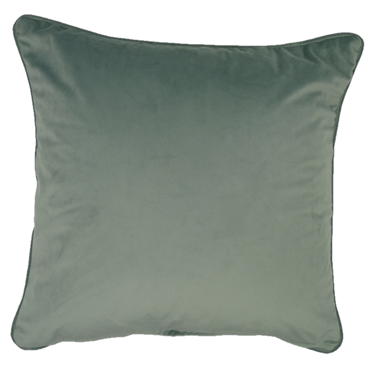 Amersham Duck Egg blossom Cushion (45cm x 45cm)