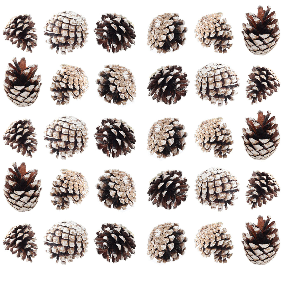 Dyed Christmas Tree Pine Cone Ornaments 30 Pack