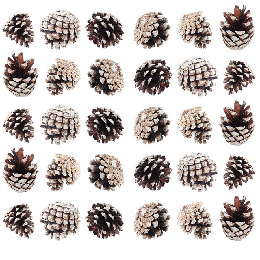 Dyed Christmas Tree Pine Cone Ornaments 30 Pack