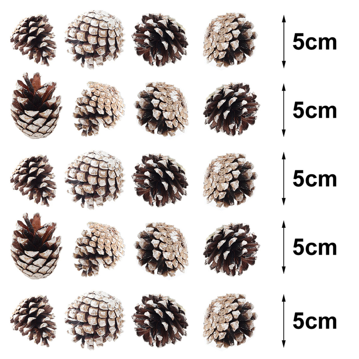Dyed Christmas Tree Pine Cone Ornaments 30 Pack