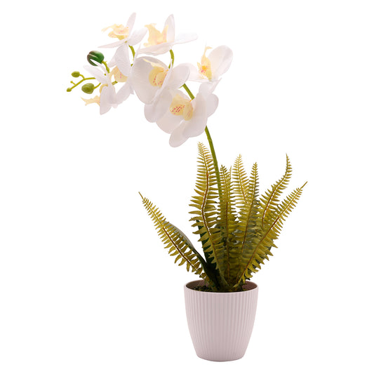 Large Artificial White Potted Orchid