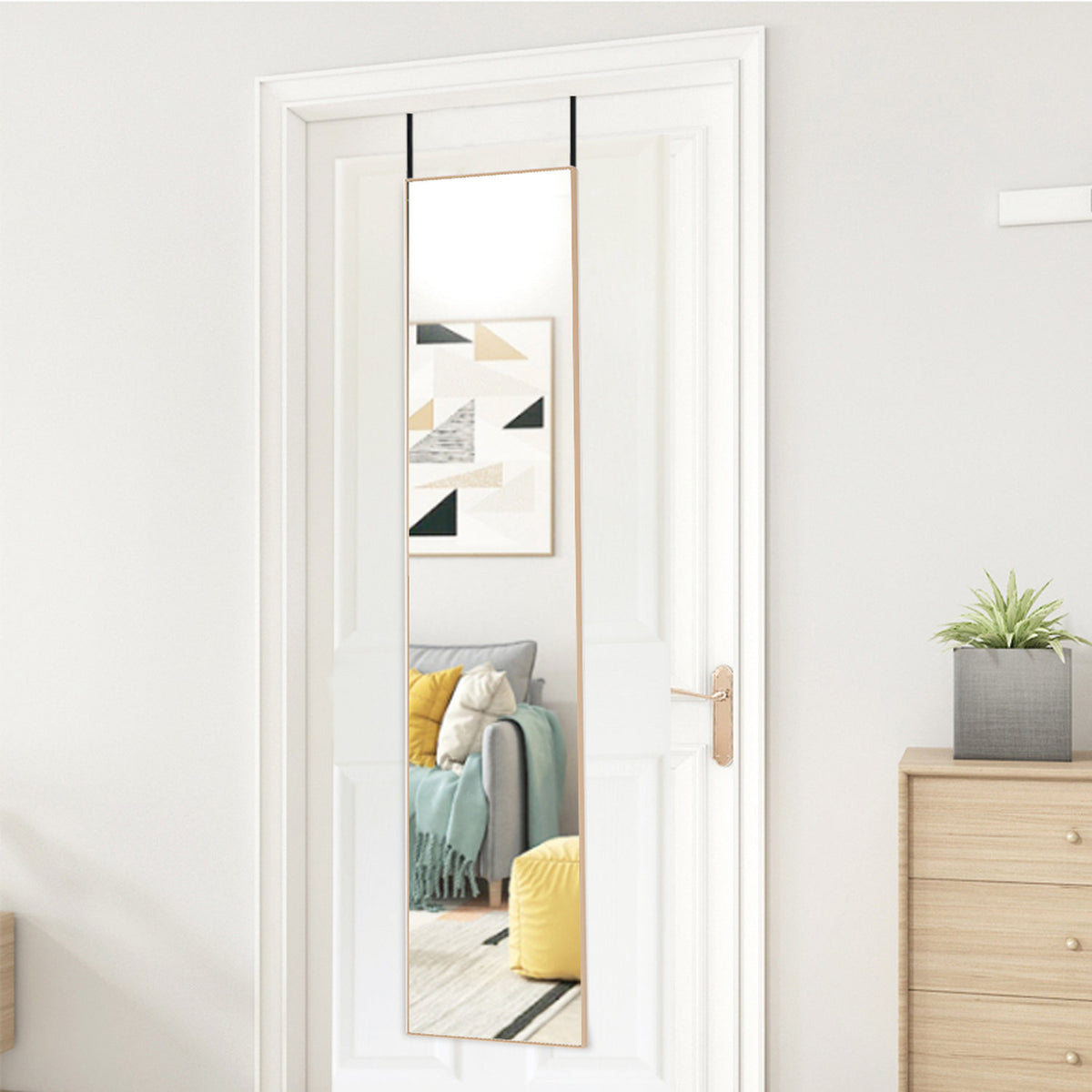 Gold Frame Over Door Full Length Mirror