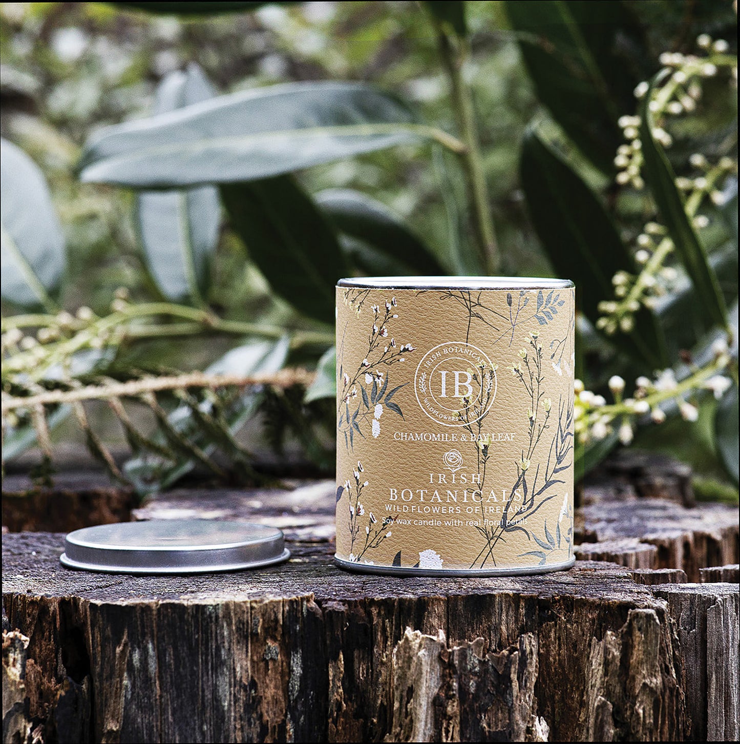 Irish Botanicals Chamomile & Bay Leaf Tin Candle