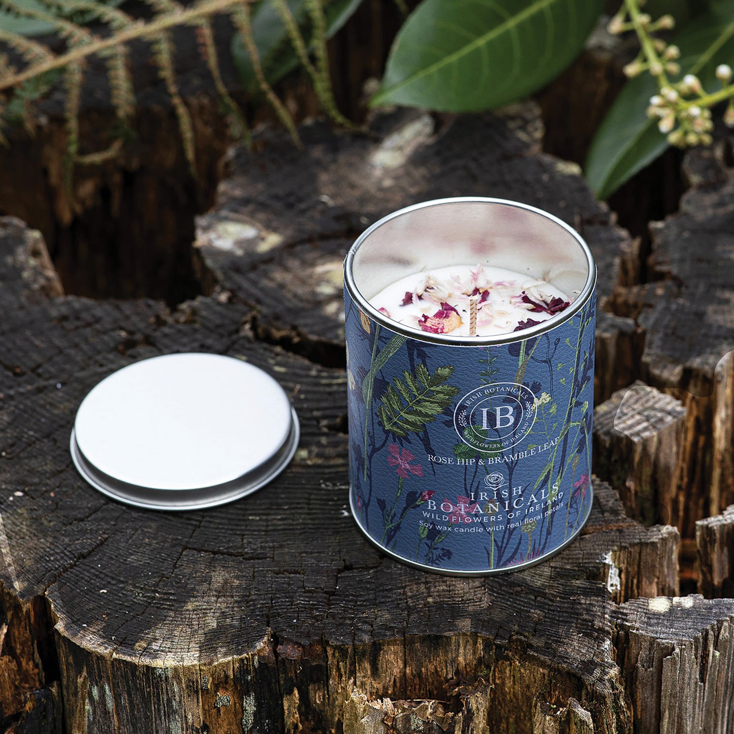 Irish Botanicals Rosehip & Bramble Leaf Tin Candle