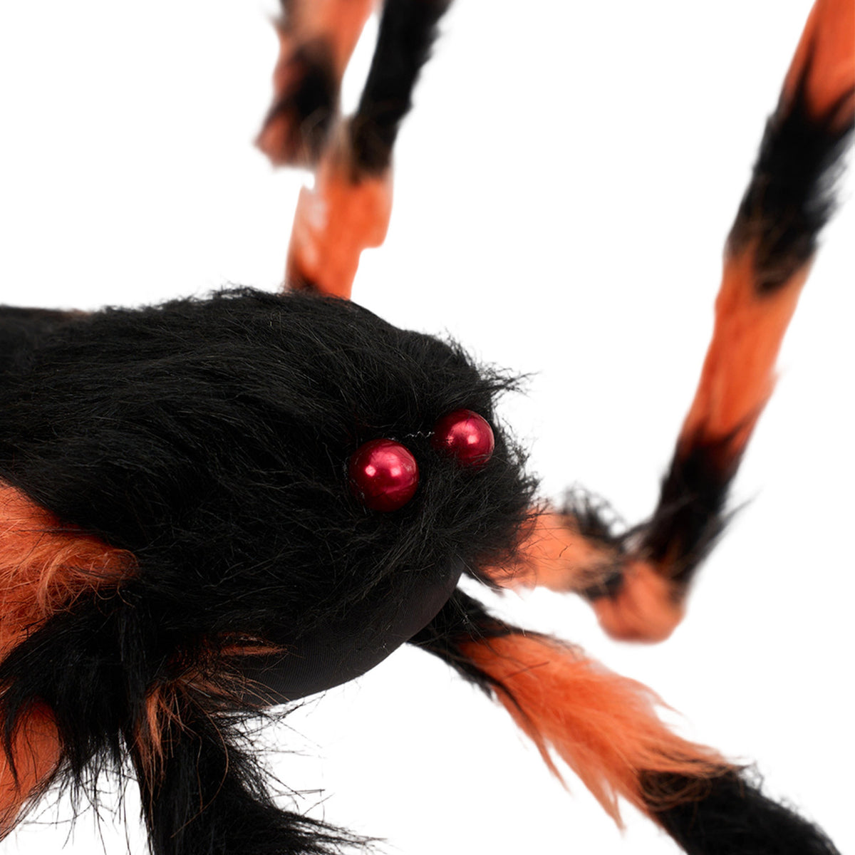 Halloween Spider Web with Scary Spider 100 x 60cm