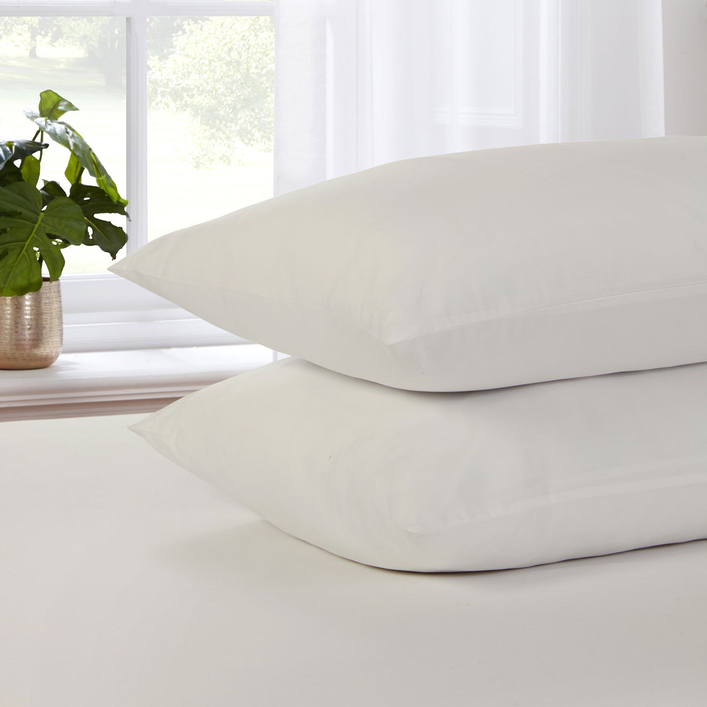 Cool Comfort Ivory Cotton Lyocell Housewife pillowcases (Pair)
