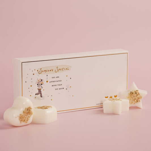 The Little Things Wax Melts Someone Special