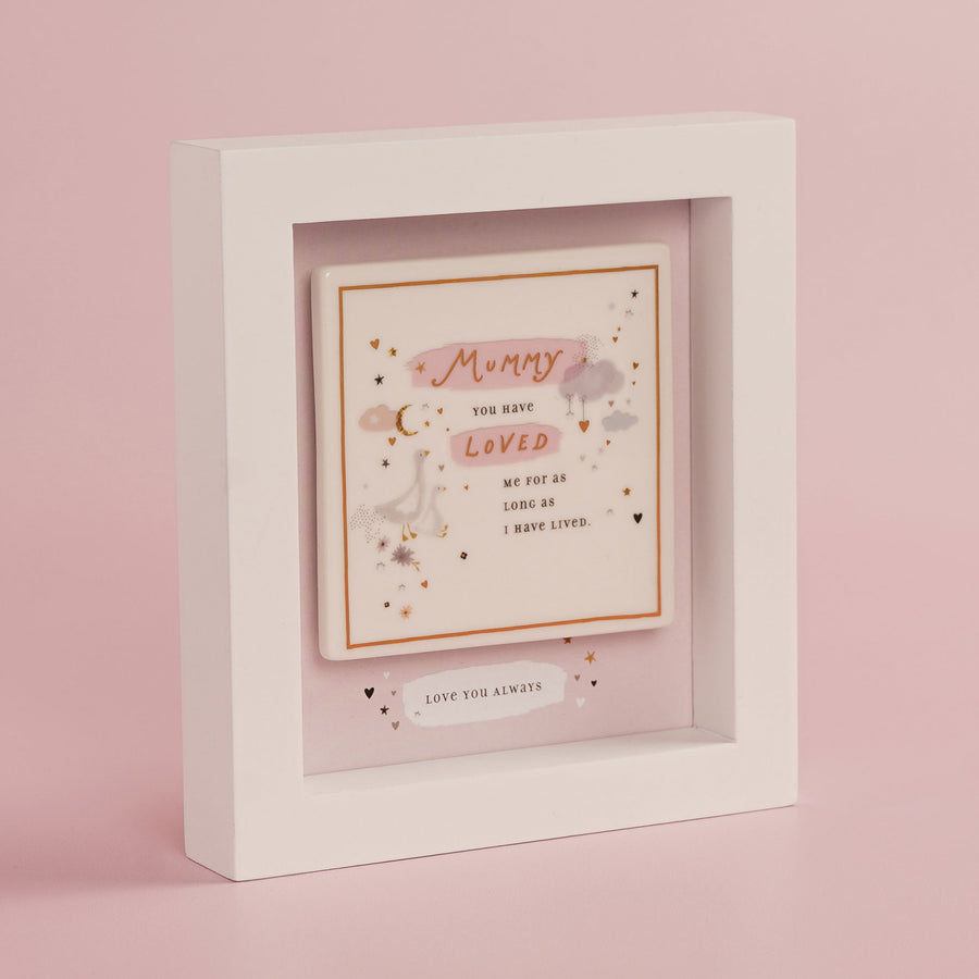 The Little Things Boxed Plaque Mummy