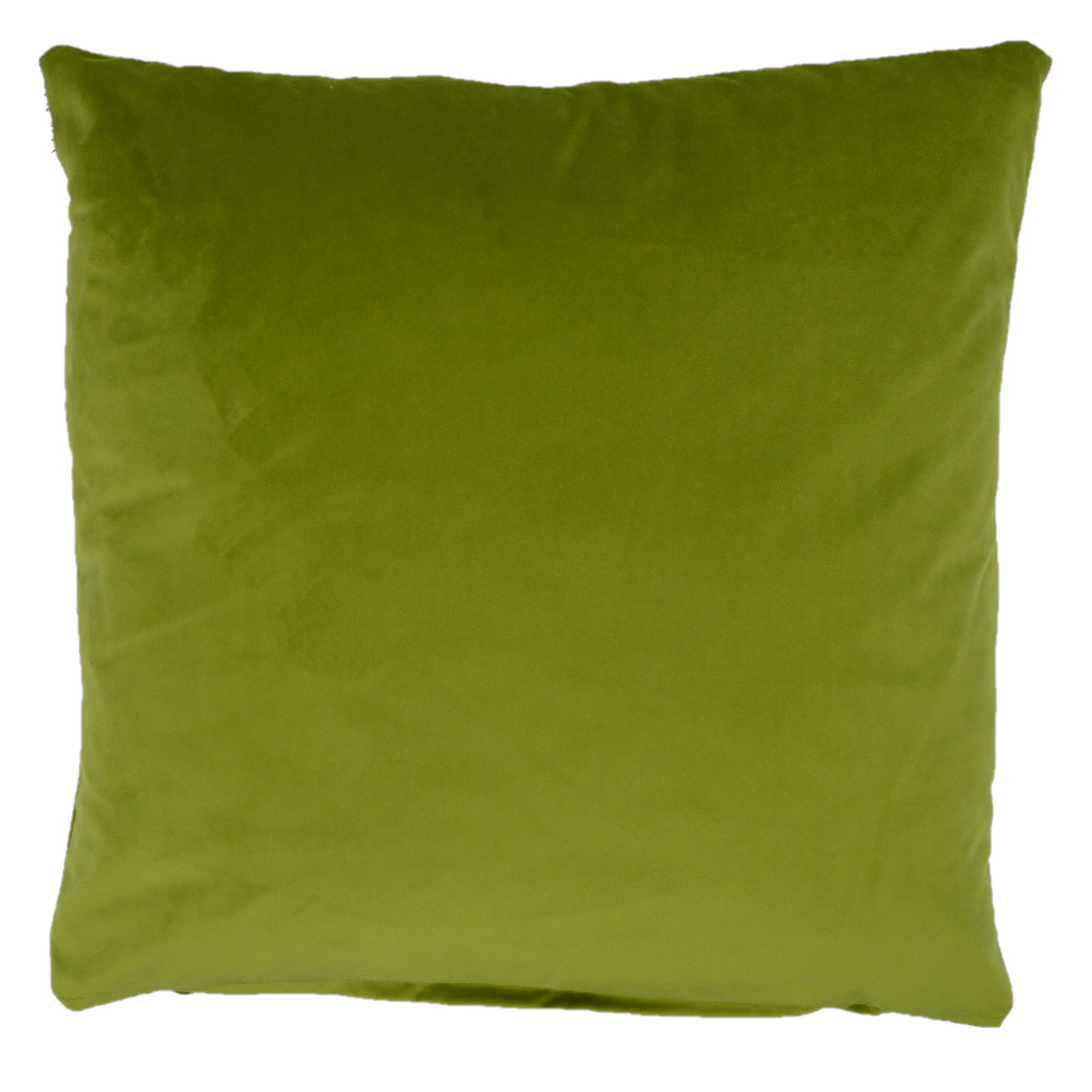 Opulence Sage Green Velvet Cushion (50cm x 50cm)