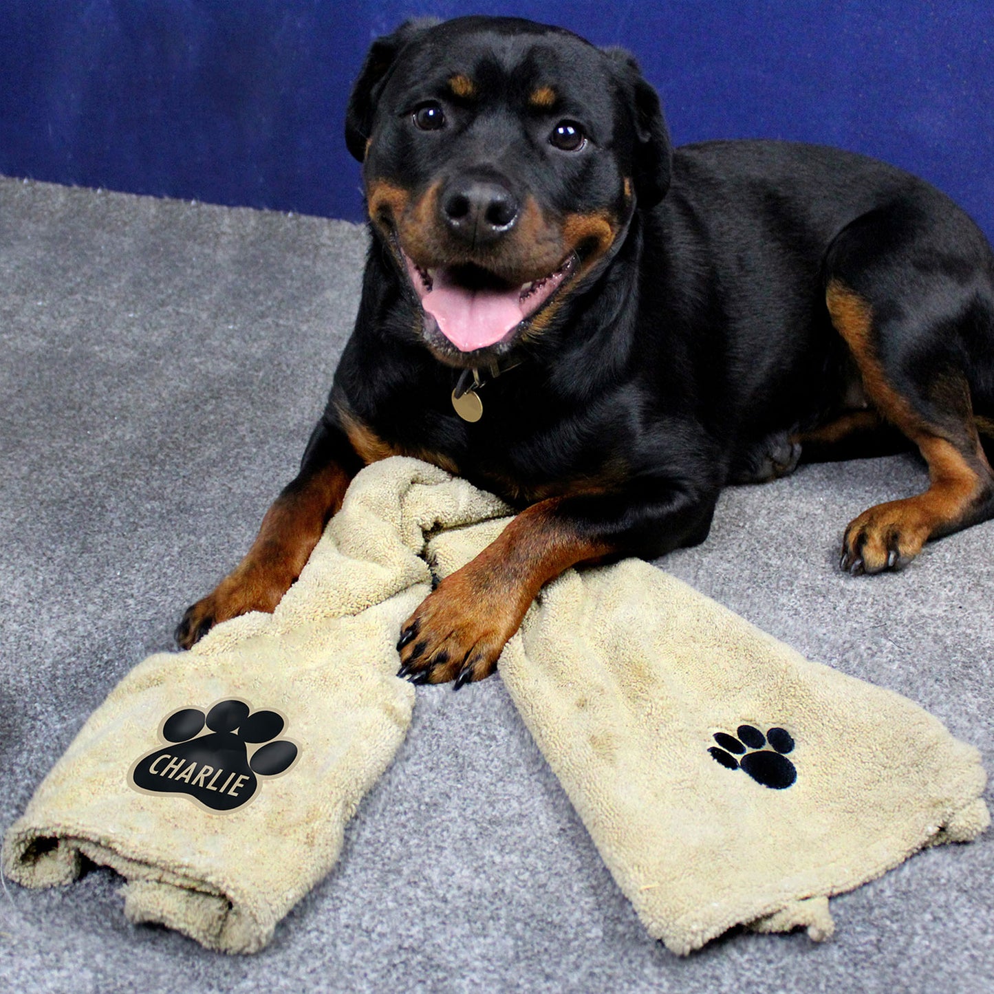 Personalised Paw Print Microfibre Pet Towel