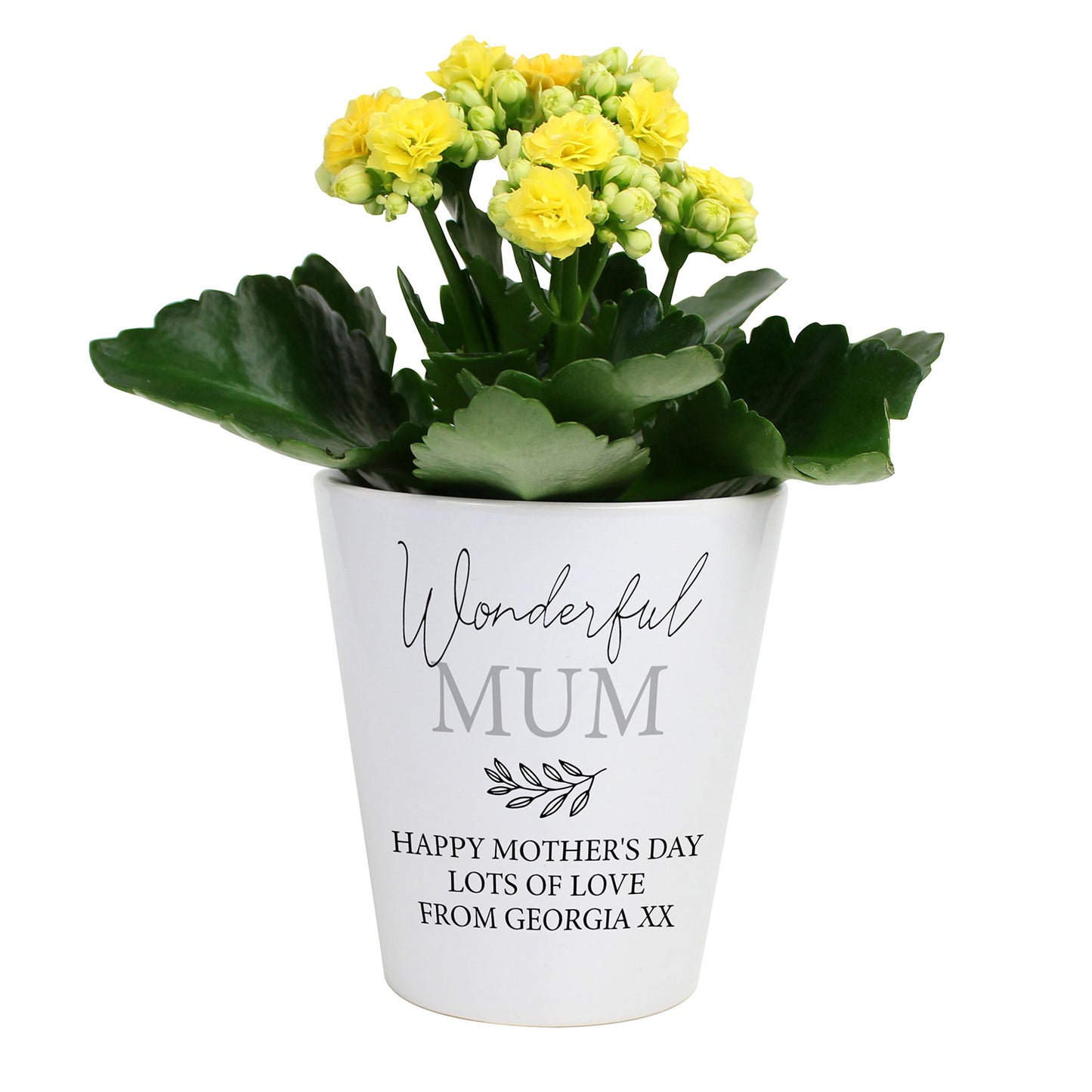 Personalised Plant Pot