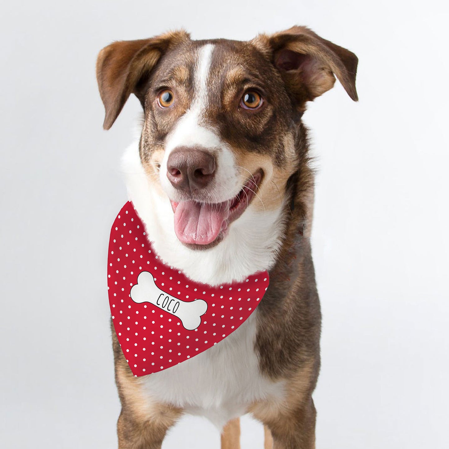 Personalised Red Dog Bandana