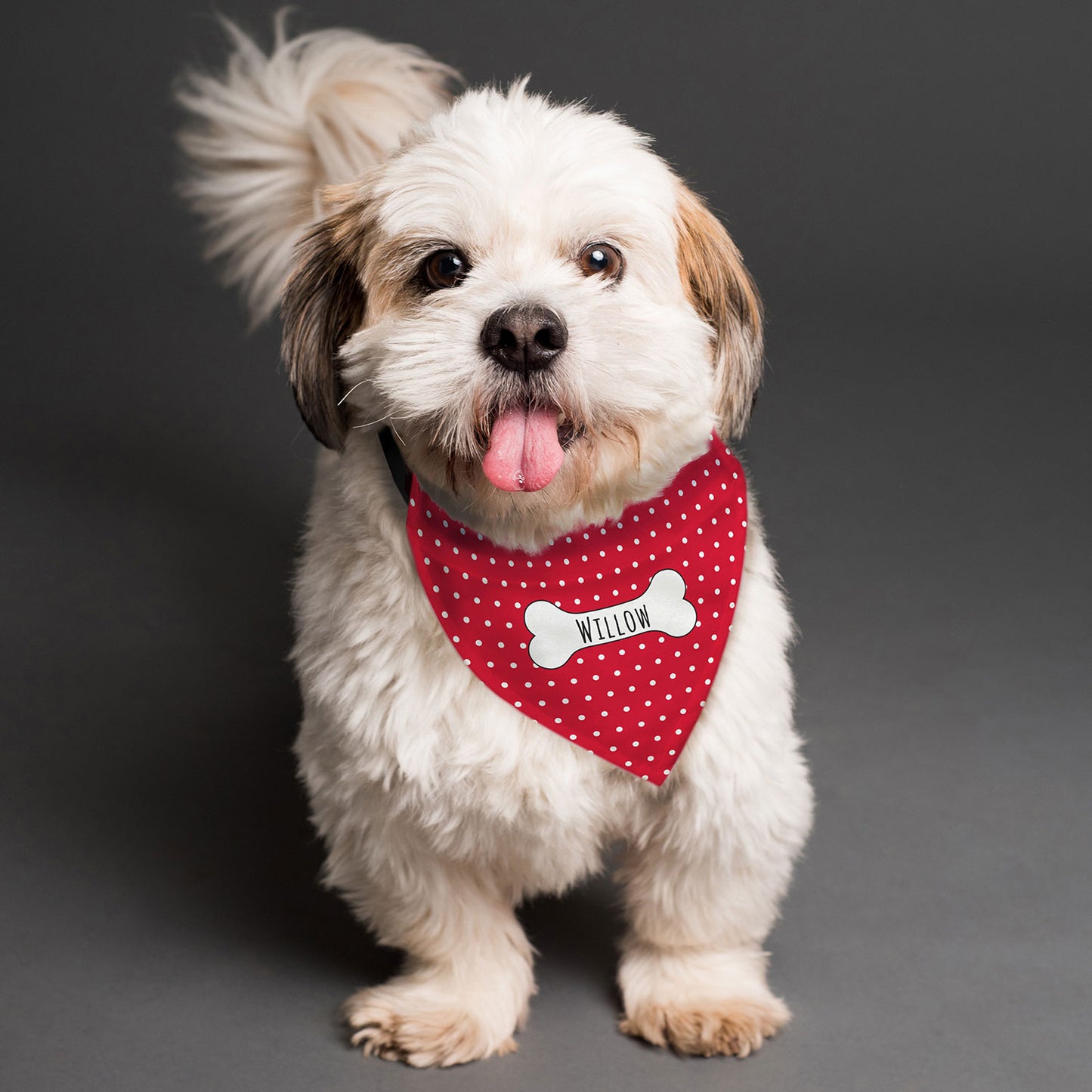 Personalised Red Dog Bandana