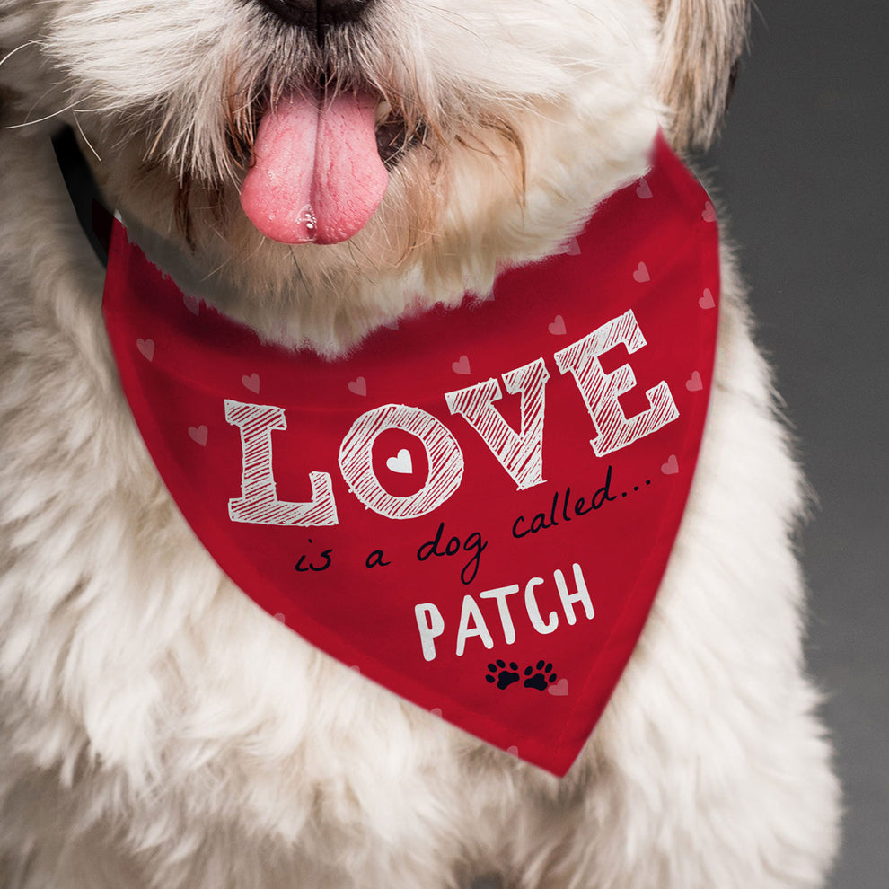 Personalised Love is Dog Bandana Julian Charles Home