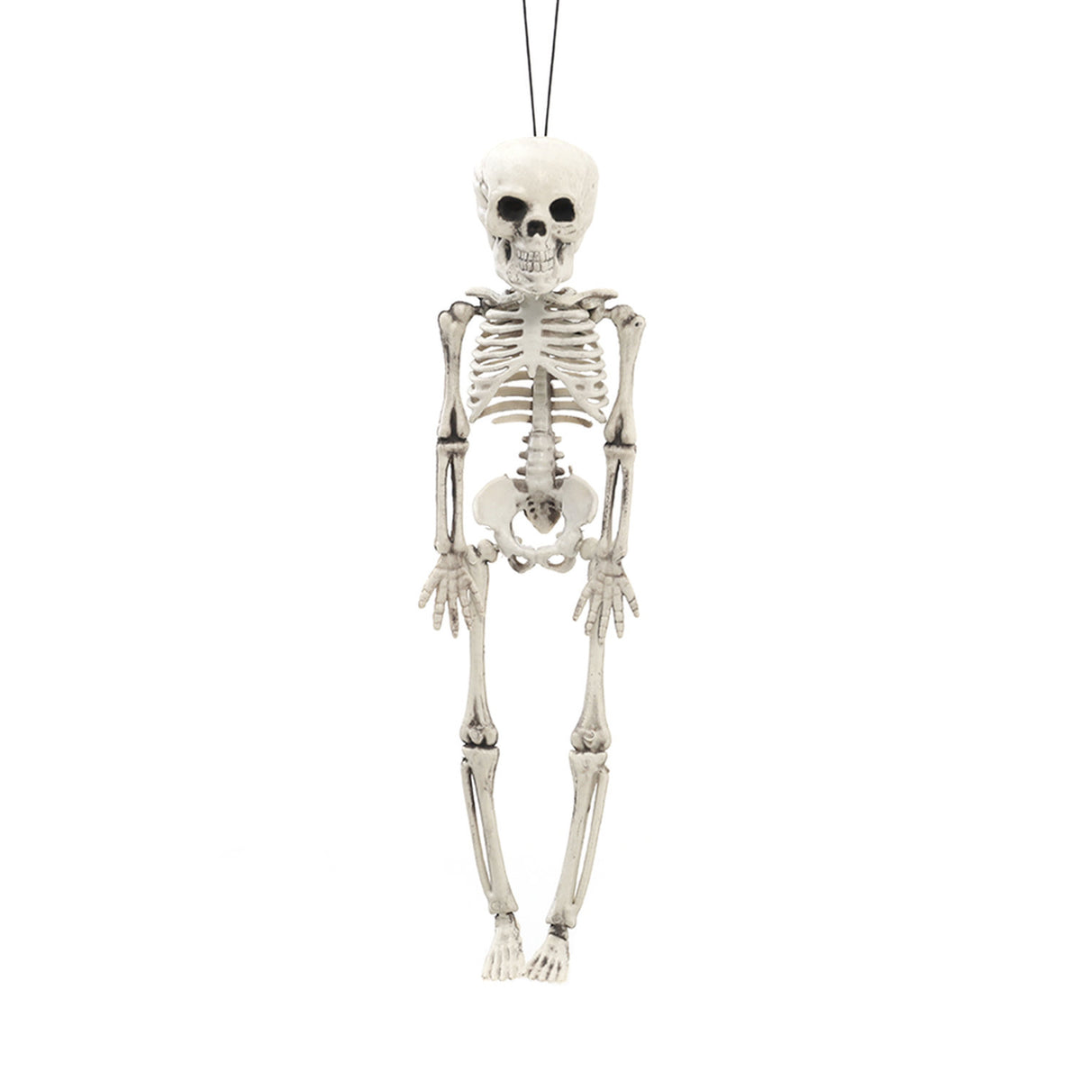 Halloween Human Anatomy Skeleton 30cm