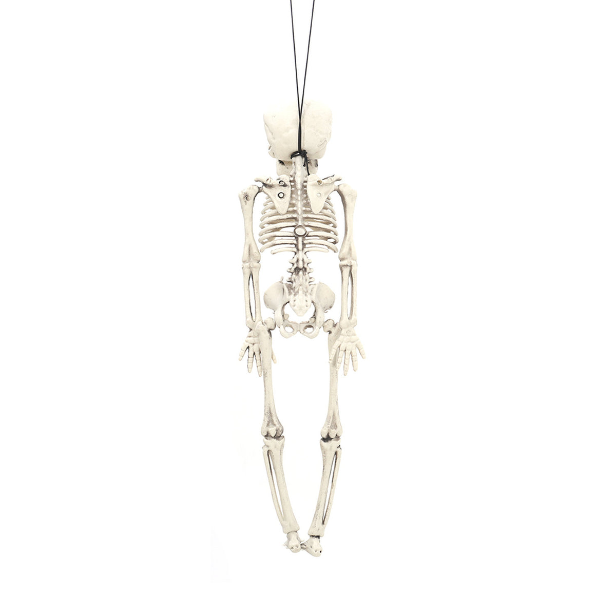 Halloween Human Anatomy Skeleton 30cm