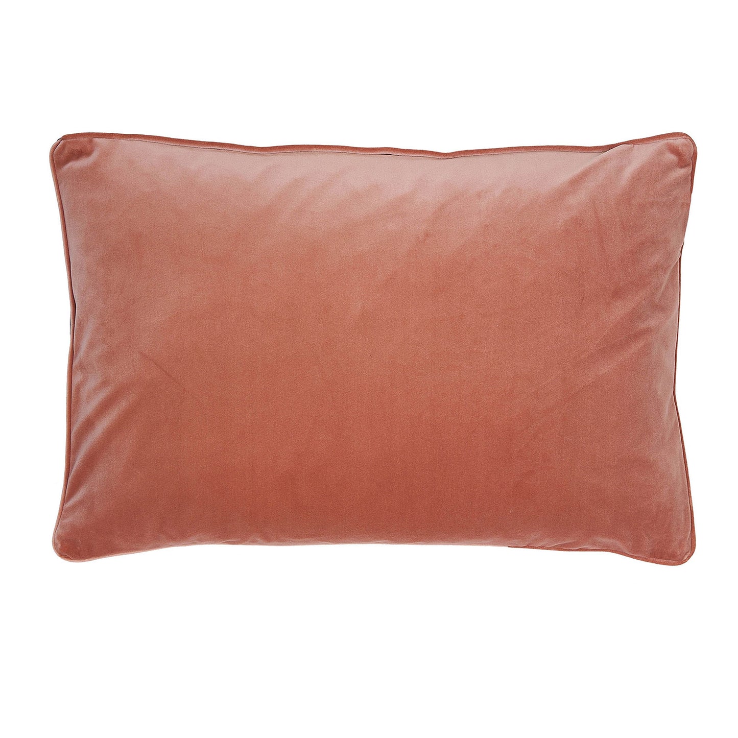 Clarissa Hulse Teasel Shell Velvet Cushion (40cm x 60cm)