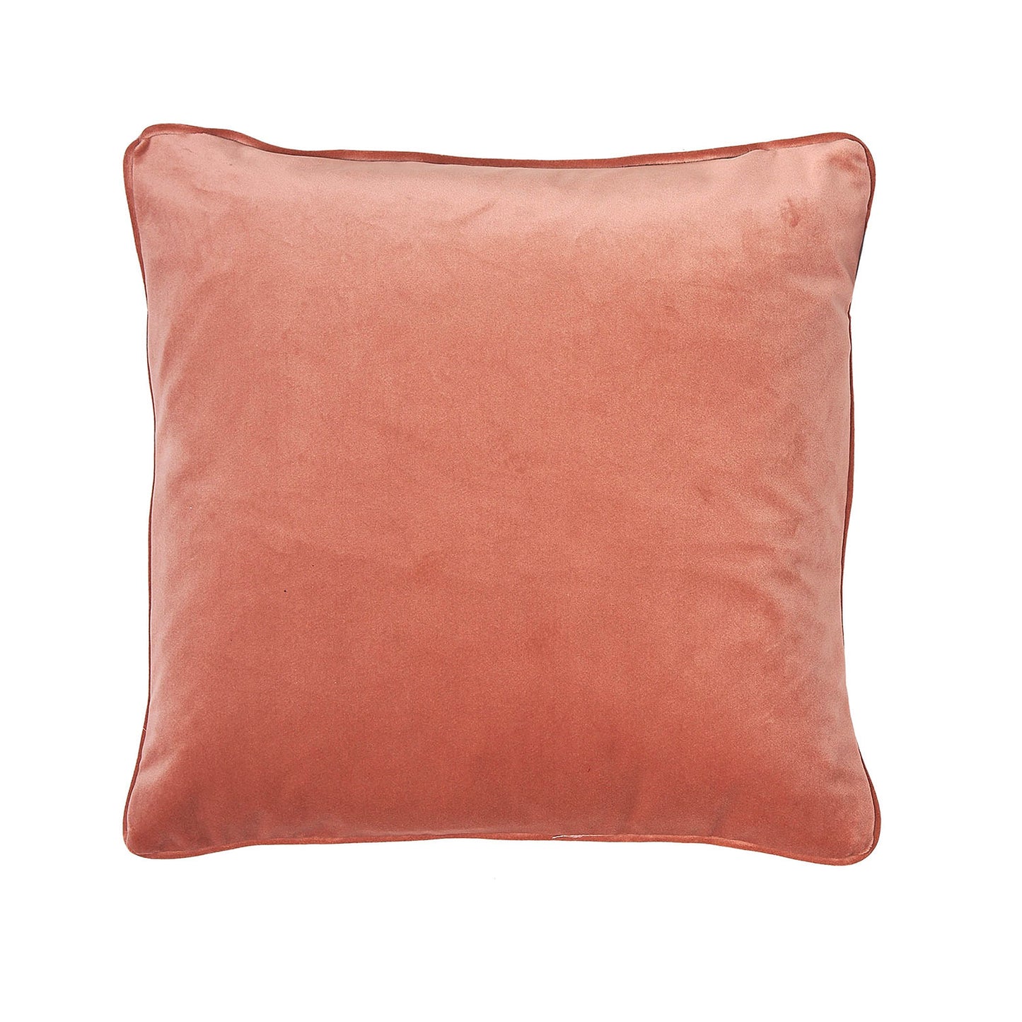 Clarissa Hulse Whispering Grass Shell Velvet Cushion (43cm x 43cm)