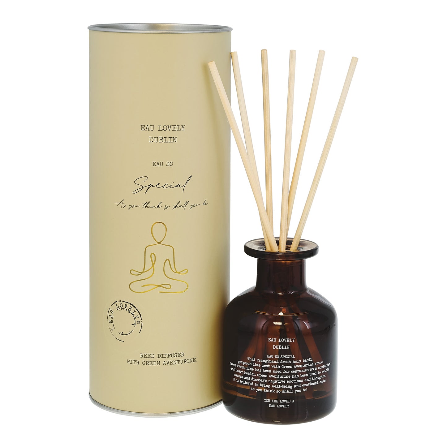Eau So Special Diffuser With Aventurine
