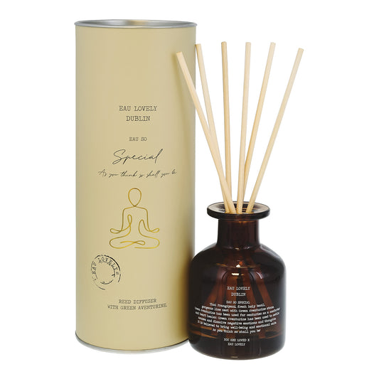 Eau So Special Diffuser With Aventurine
