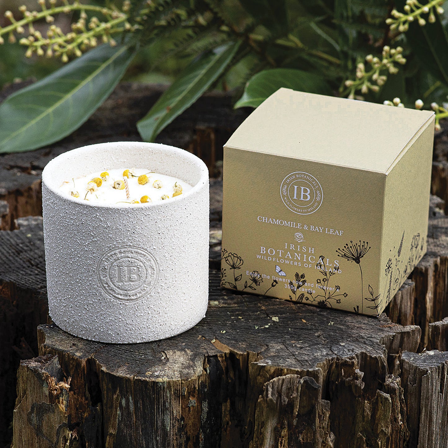 Irish Botanicals Chamomile & Bay Leaf Candle