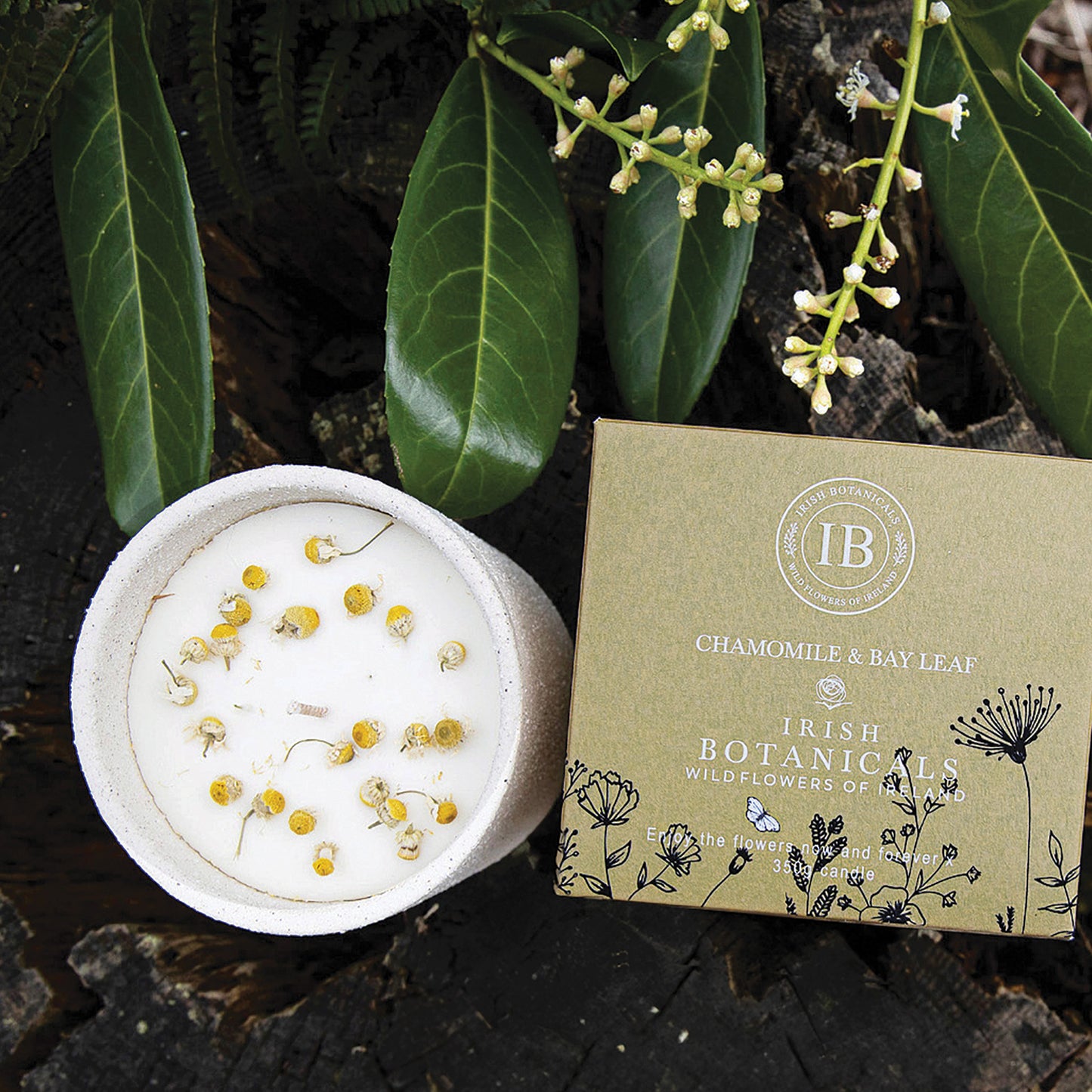 Irish Botanicals Chamomile & Bay Leaf Candle