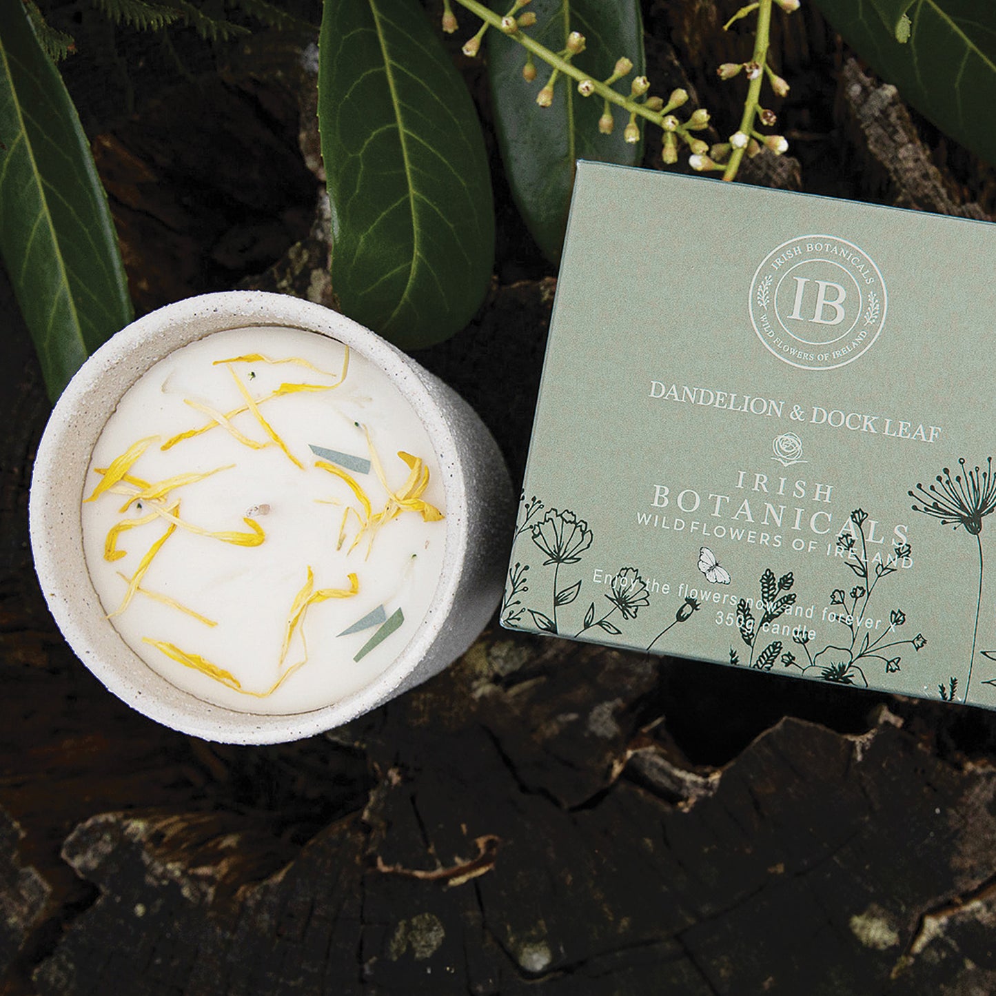 Irish Botanicals Dandelion & Dock Leaf Candle