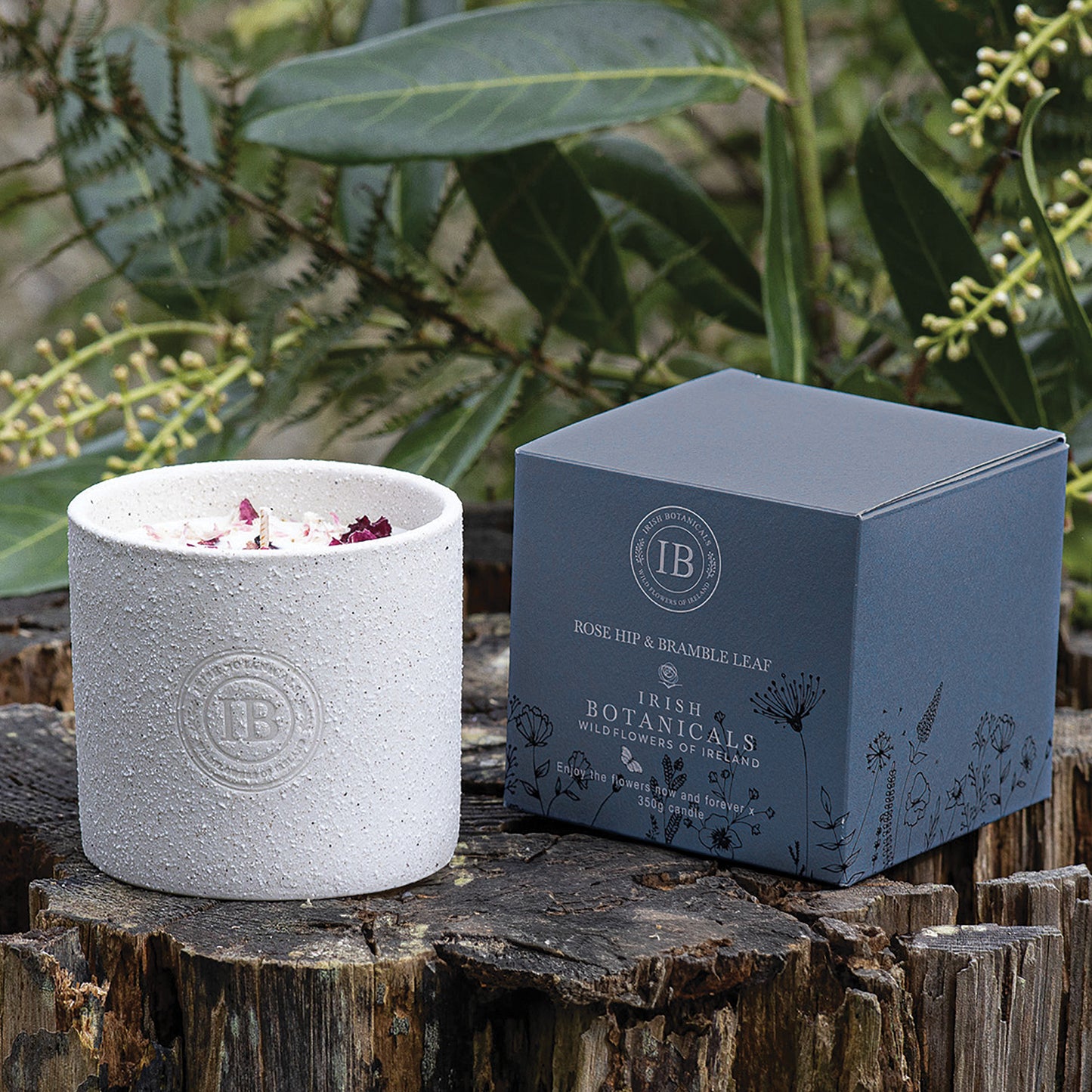 Irish Botanicals Rosehip & Bramble Leaf Candle