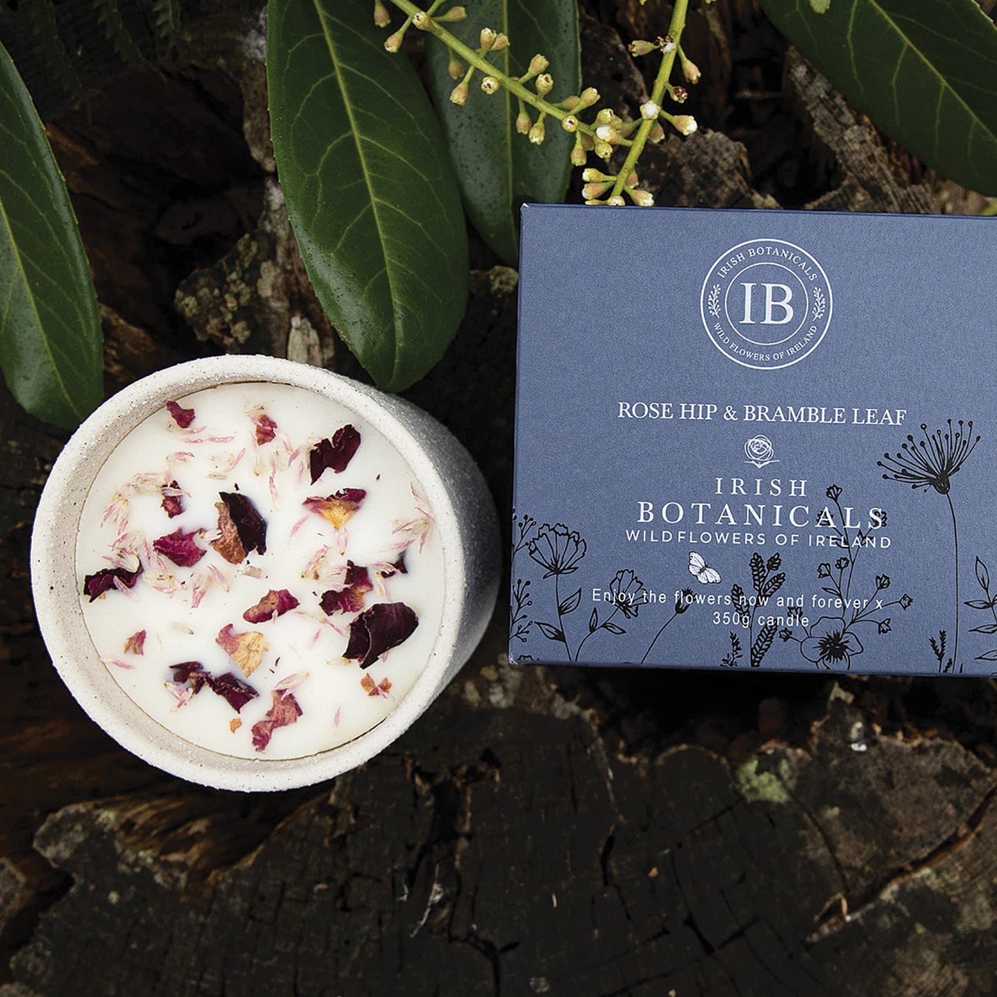 Irish Botanicals Rosehip & Bramble Leaf Candle