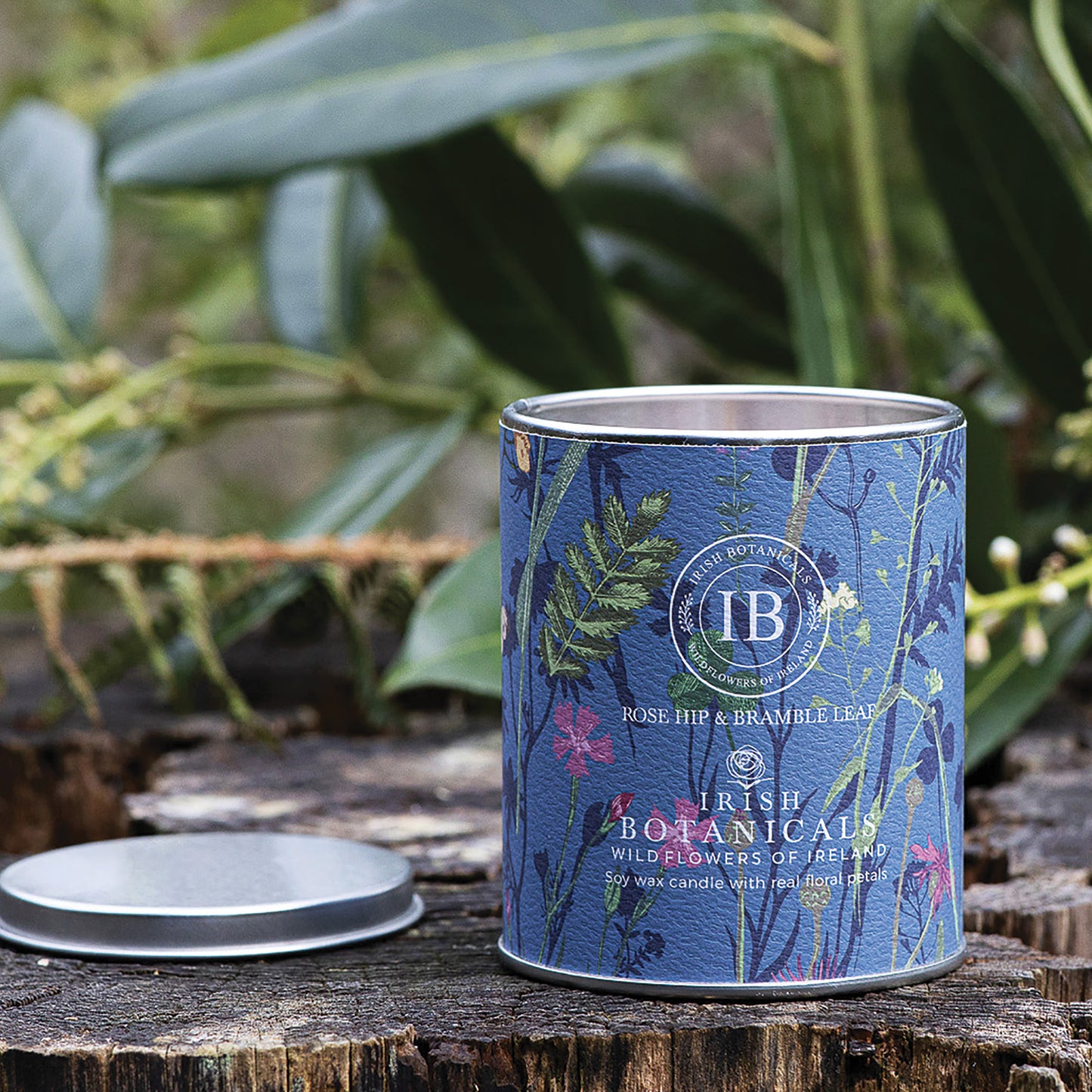 Irish Botanicals Rosehip & Bramble Leaf Tin Candle