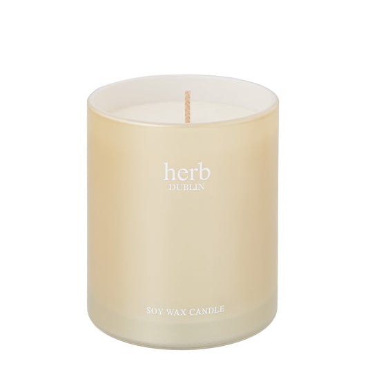 Herb Dublin Holly Jolly Christmas Candle