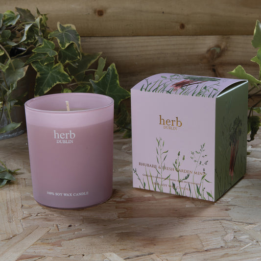Herb Dublin Rhubarb and Garden Mint Candle