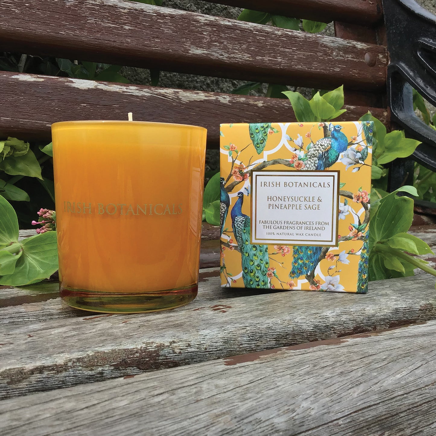 Irish Botanicals Honeysuckle and Pineapple Sage Candle