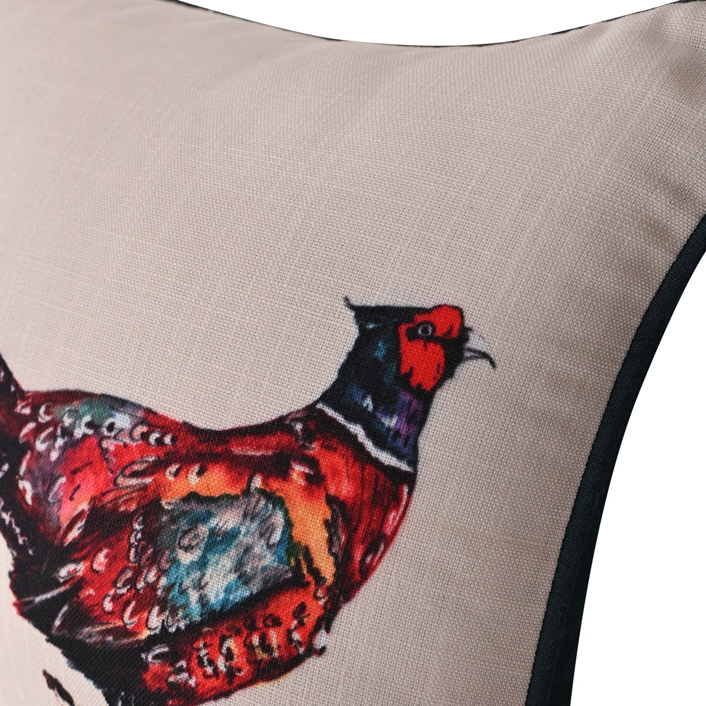 Meg Hawkins Pheasant Oblong Cushion