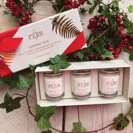 Irish Botanicals Wild Fern Christmas Candle Gift Set