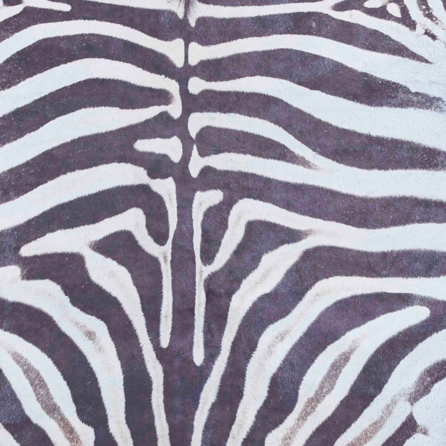 Faux Zebra Print Black/White Rug