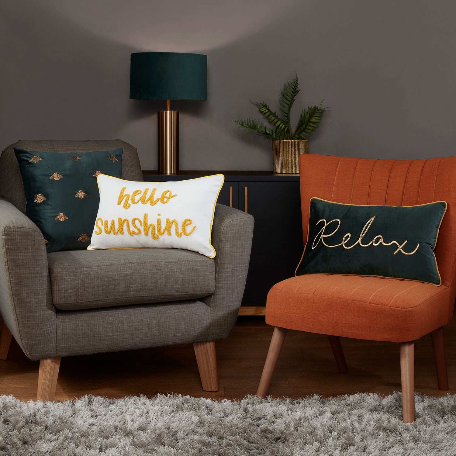 Hello sunshine outlet cushion